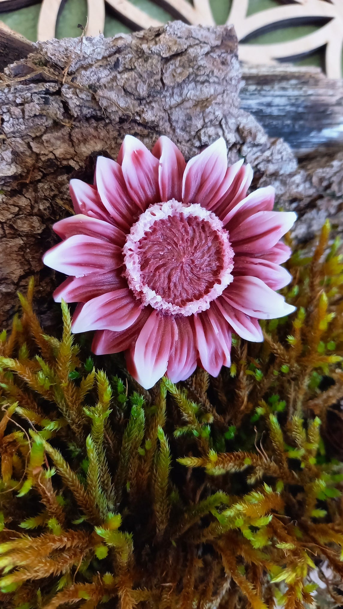 Fondant Tournesol